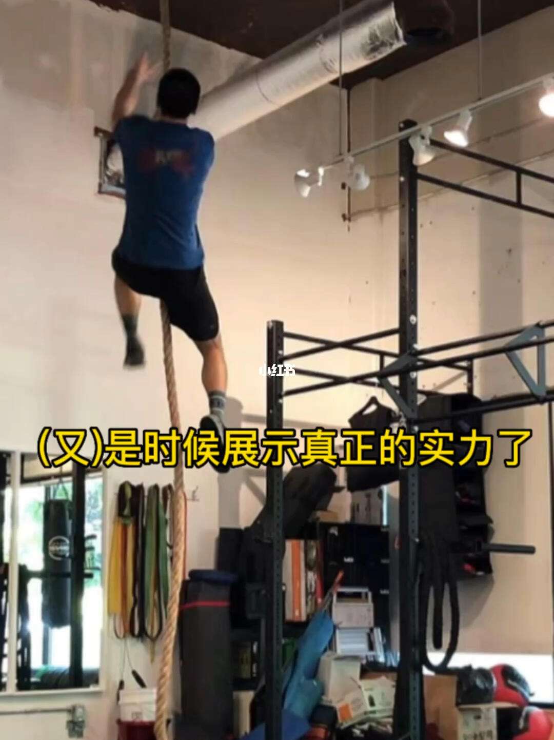 公牛力挫老鹰，展现强大实力的简单介绍