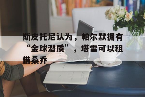 斯皮托尼认为，帕尔默拥有“金球潜质”，塔雷可以租借桑乔的简单介绍
